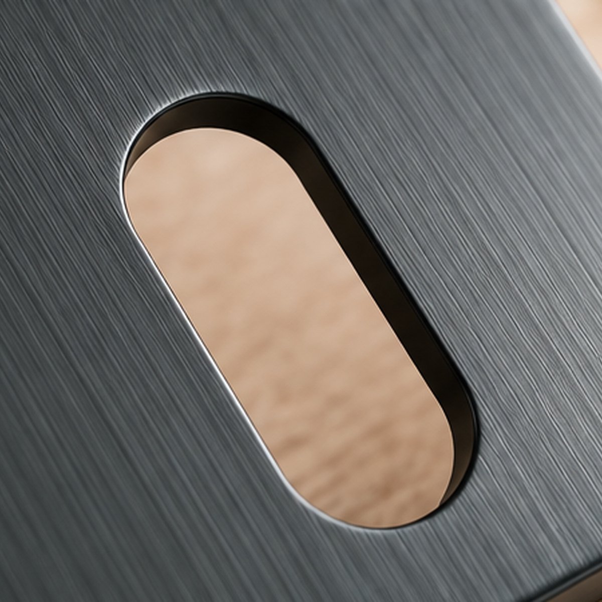 Détail finition graphite brossé rosace à clé LP2