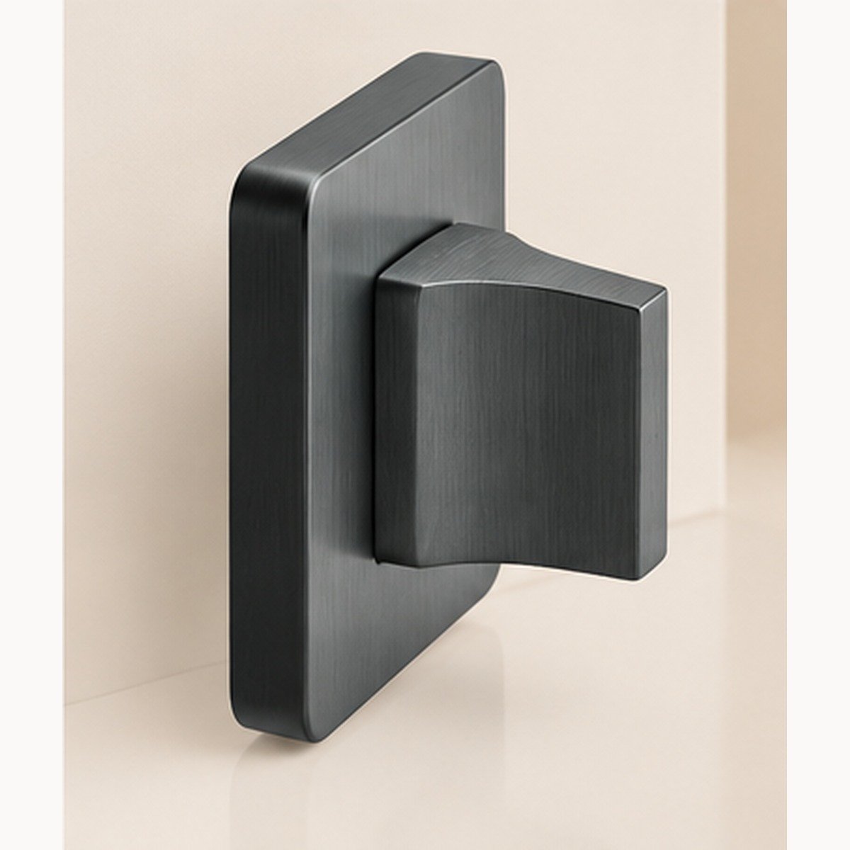 Vue de profil de la rosace WC LP2 graphite