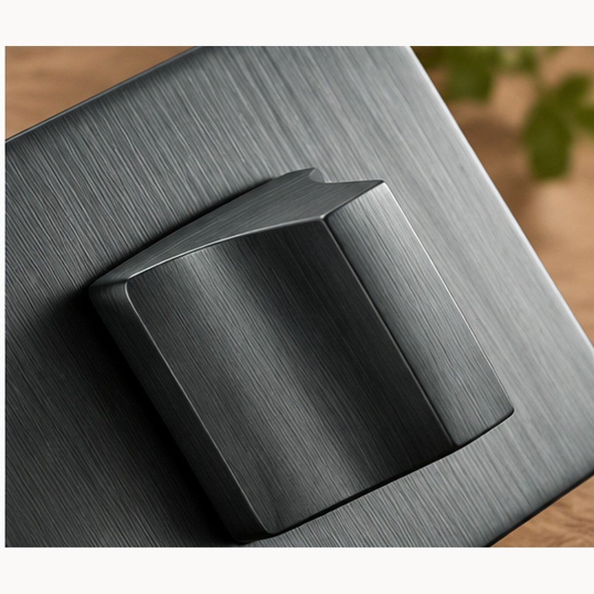 Détail finition graphite brossé de la rosace WC LP2