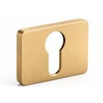 Rosace pour cylindre Kuchinox LP2 doré brossé – vue produit